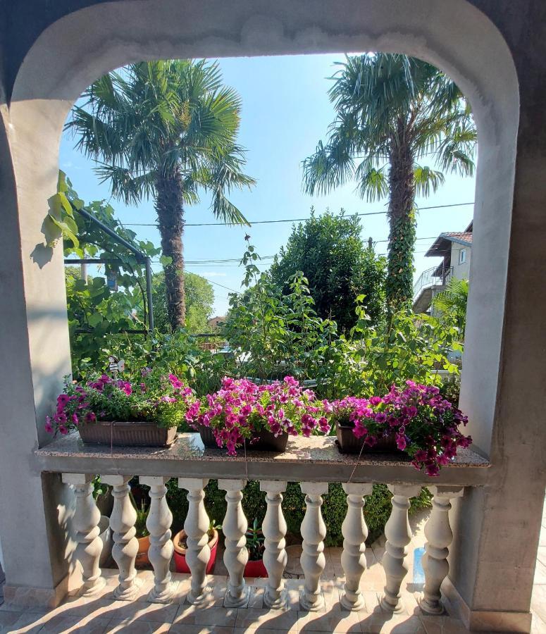 Apartman Palma Marinici  Bagian luar foto