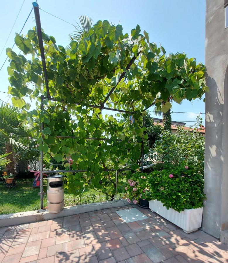 Apartman Palma Marinici  Bagian luar foto