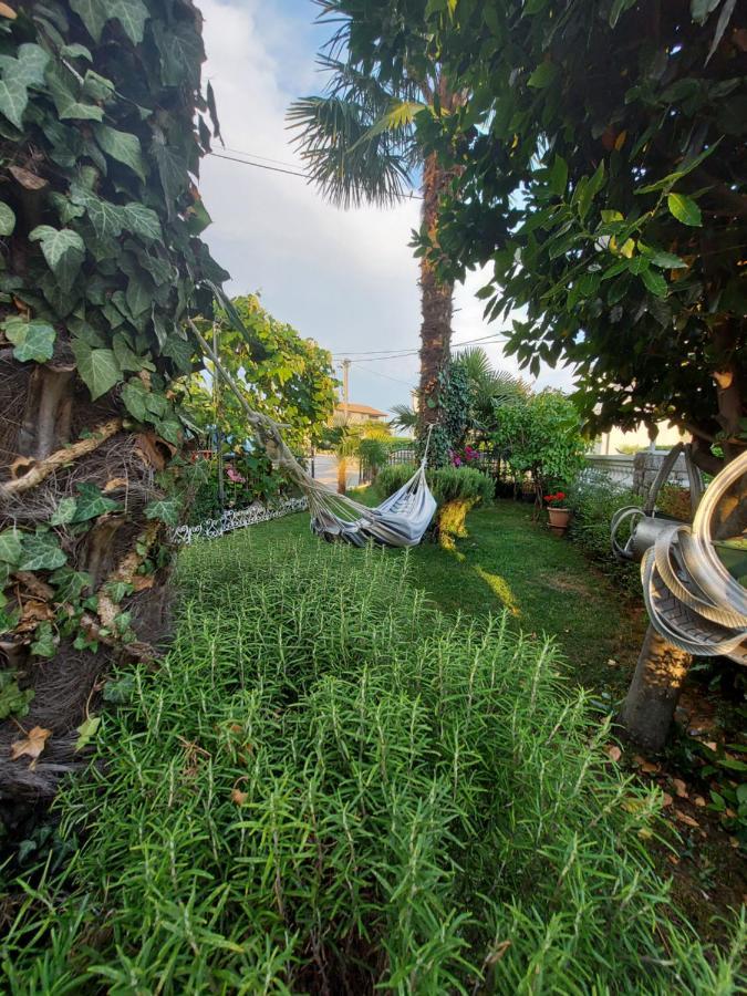 Apartman Palma Marinici  Bagian luar foto